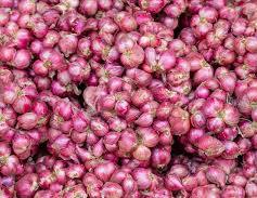 Red onion