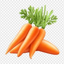 Fresh Carrot