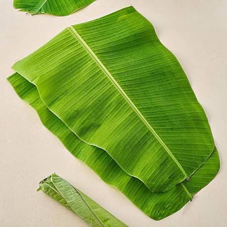 Long Banana leaf
