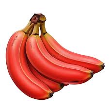 Red banana